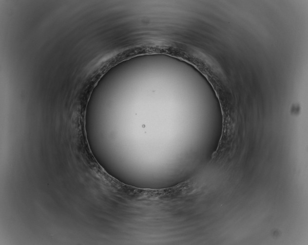 X0000101150773200807071148