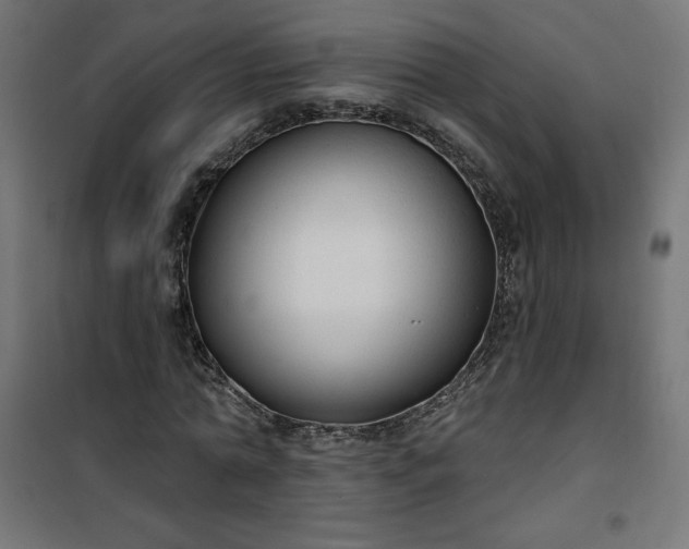 X0000101150774200807071148