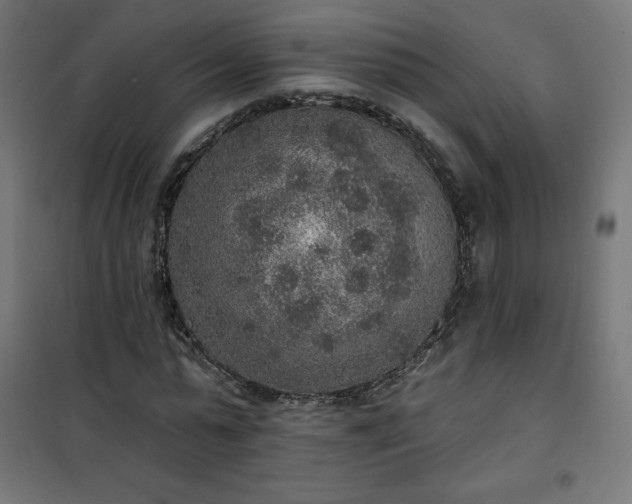 X0000101150775200807071148