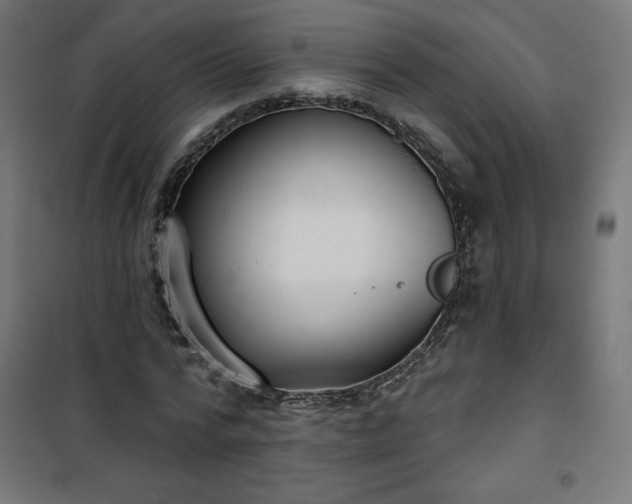 X0000101150776200807071148