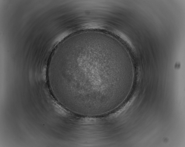 X0000101150777200807071148