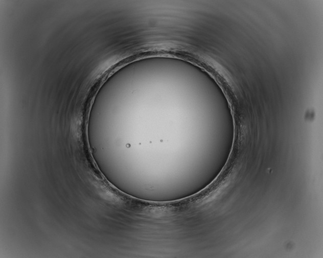 X0000101150778200807071148