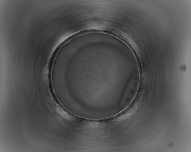 X0000101150779200807071148