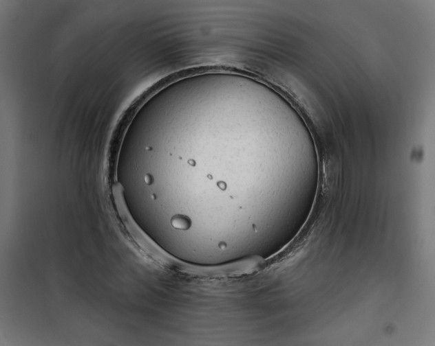 X0000101150780200807071148