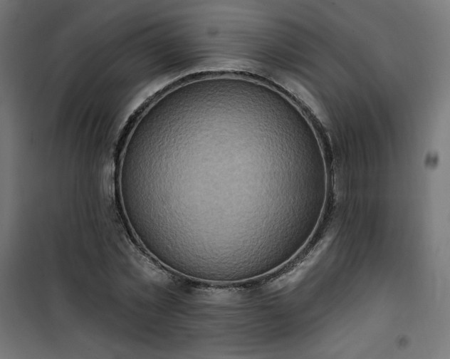 X0000101150781200807071148