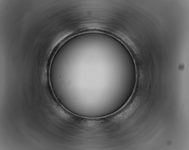 X0000101150782200807071148