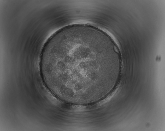 X0000101150783200807071148