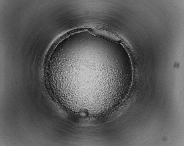 X0000101150784200807071148