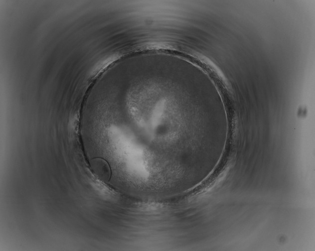 X0000101150785200807071148