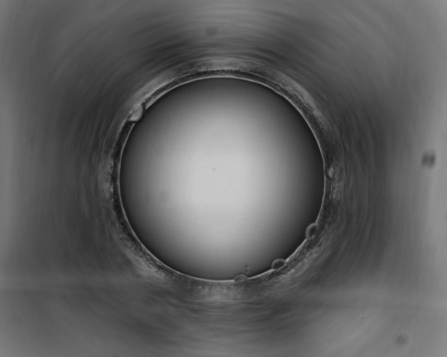 X0000101150786200807071148