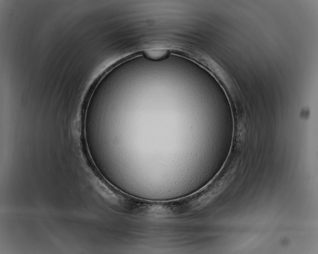 X0000101150787200807071148