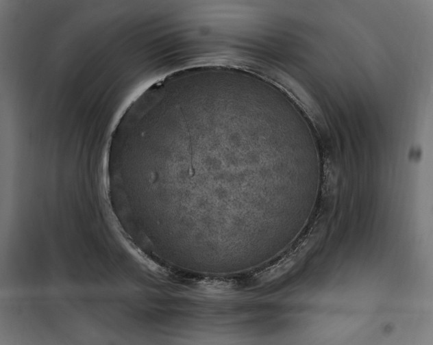 X0000101150788200807071148