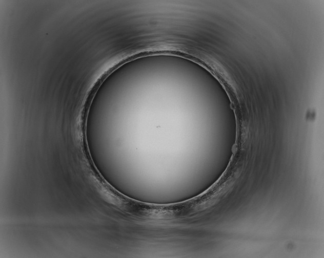 X0000101150789200807071148