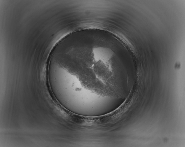 X0000101150790200807071148