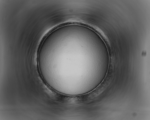 X0000101150791200807071148