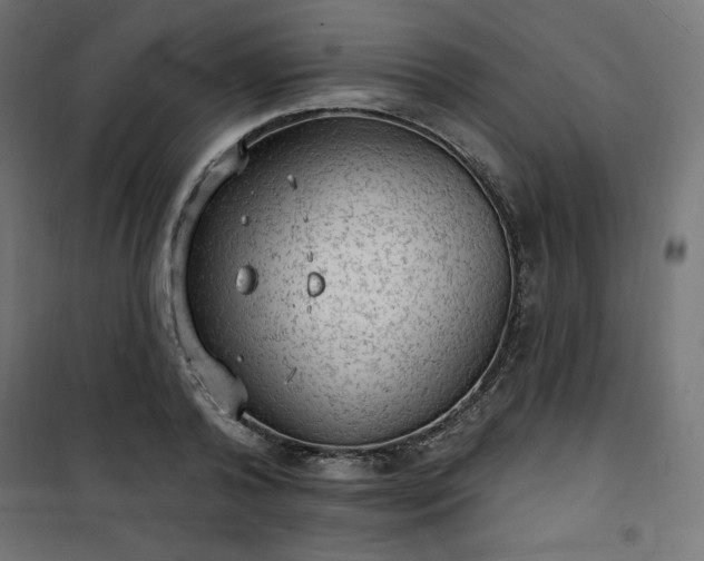 X0000101150792200807071148