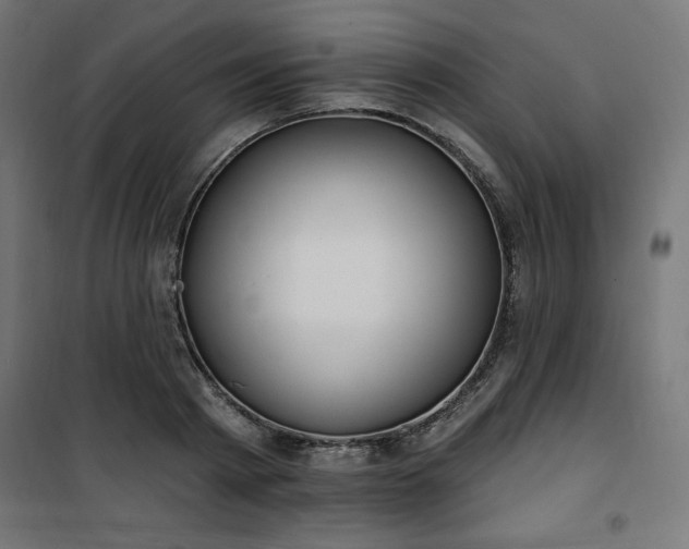 X0000101150793200807071148