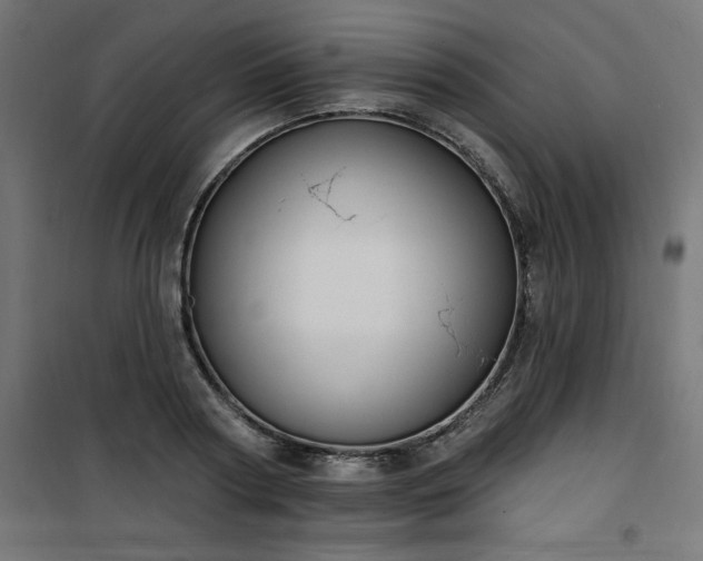 X0000101150794200807071148