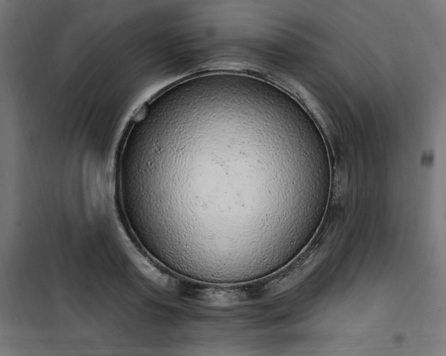 X0000101150795200807071148