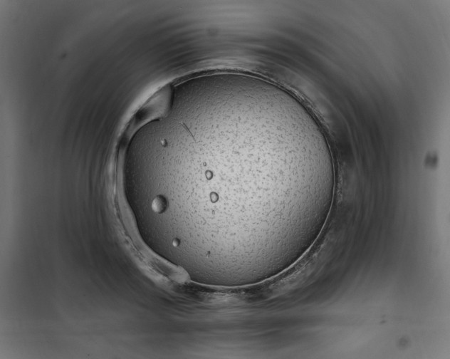 X0000101150796200807071148