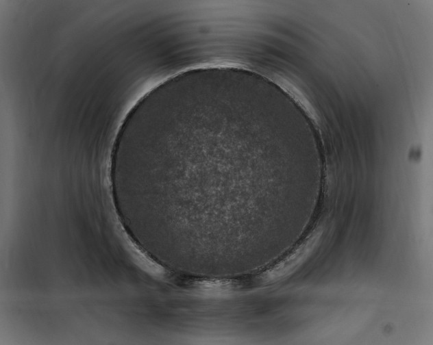 X0000101150797200807071148