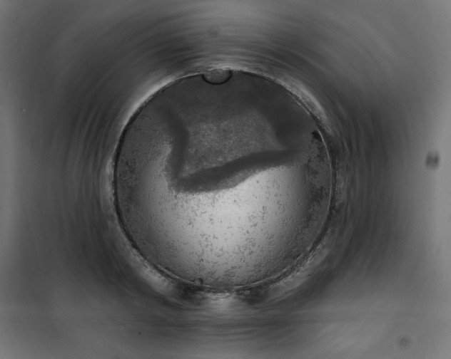 X0000101150798200807071148