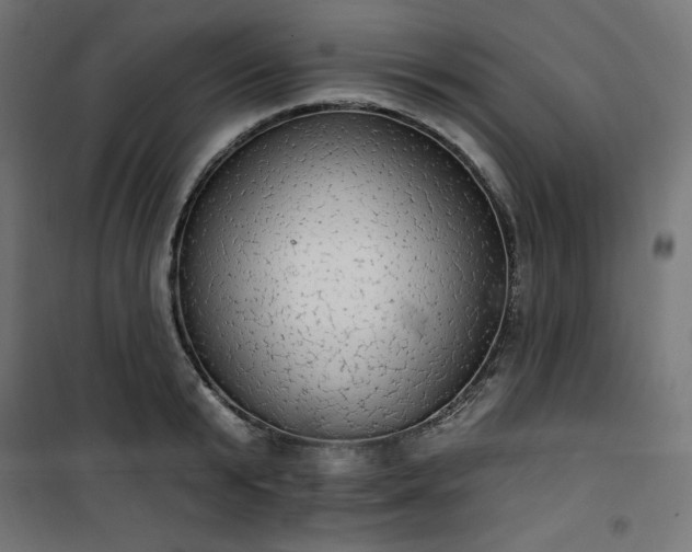 X0000101150799200807071148