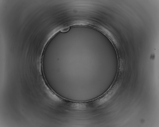 X0000101150802200807071148