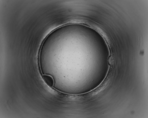 X0000101150803200807071148