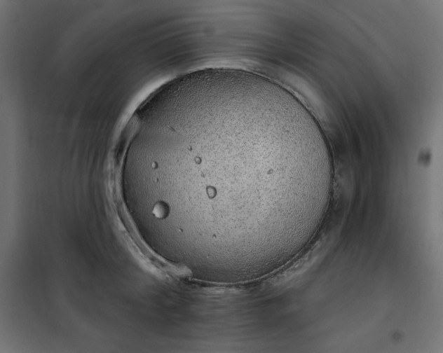 X0000101150804200807071148