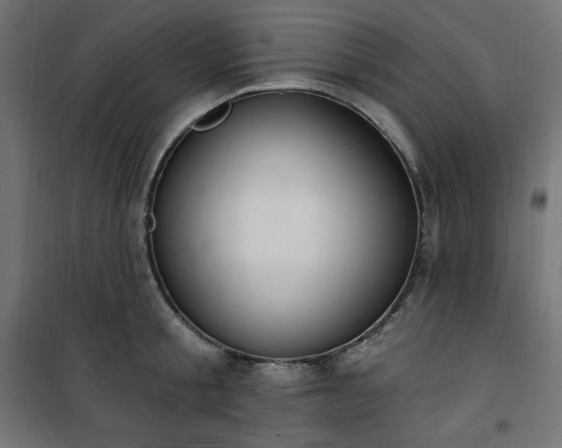 X0000101150805200807071148