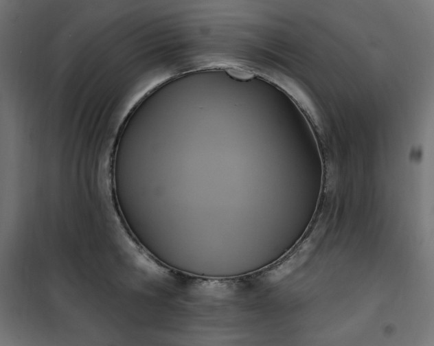 X0000101150806200807071148