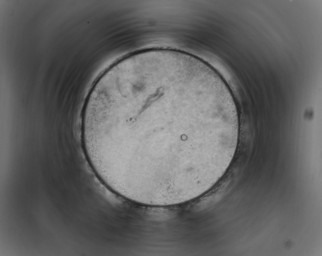 X0000101150807200807071148