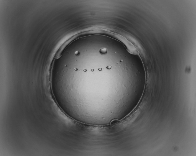 X0000101150808200807071148