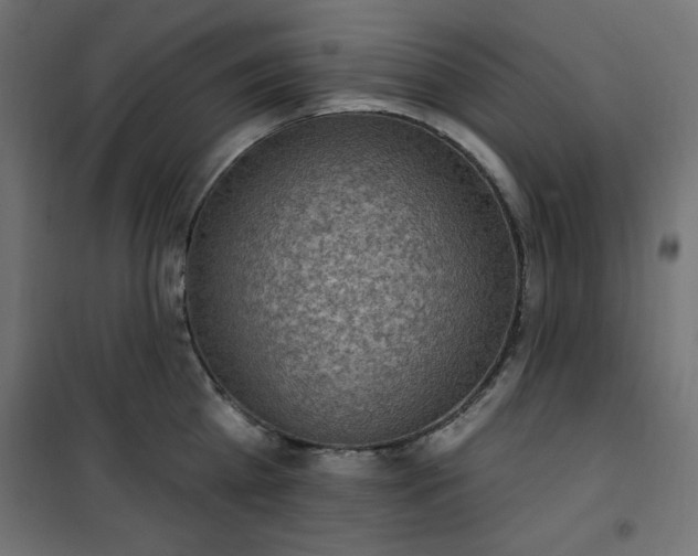 X0000101150809200807071148