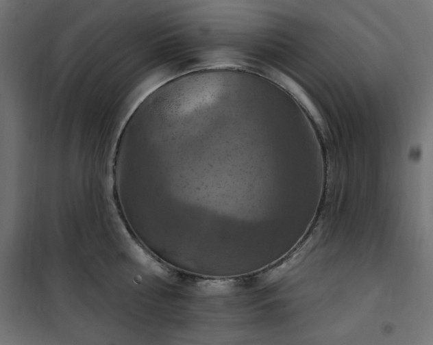 X0000101150810200807071148