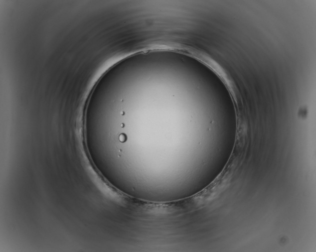 X0000101150811200807071148