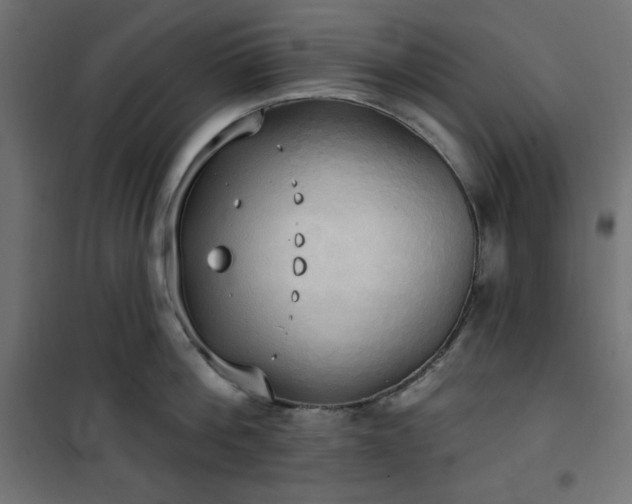 X0000101150812200807071148