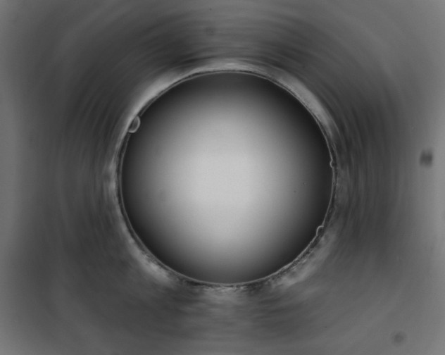 X0000101150813200807071148