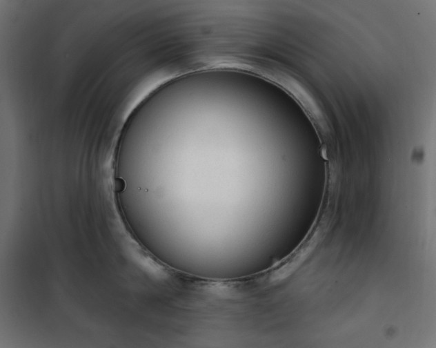 X0000101150814200807071148