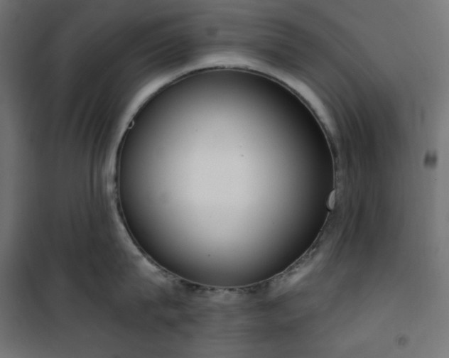 X0000101150815200807071148