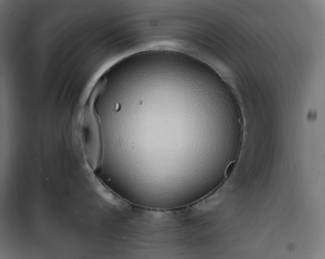 X0000101150816200807071148