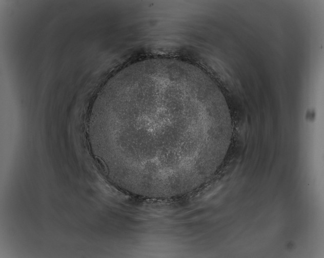 X0000101150817200807071147