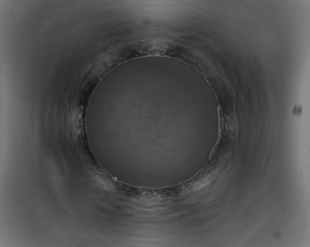 X0000101150818200807071147