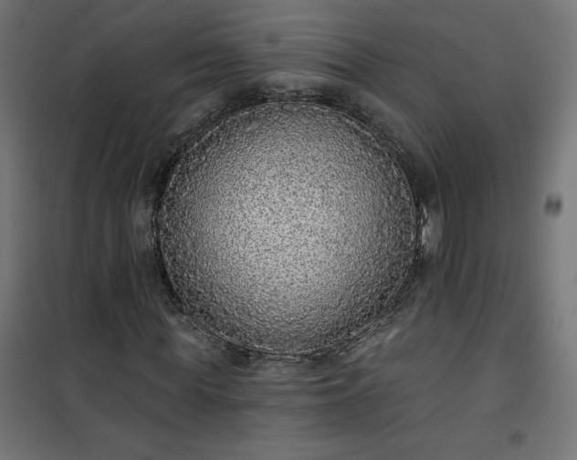 X0000101150819200807071147