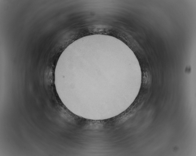 X0000101150820200807071147