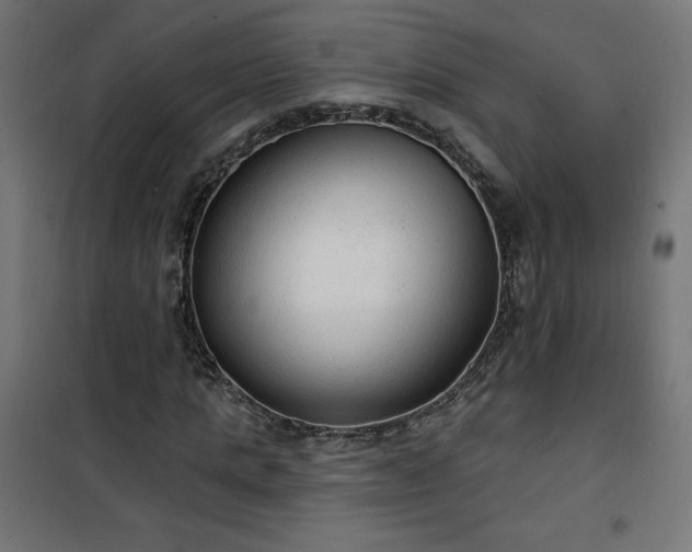 X0000101150821200807071147