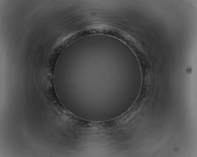 X0000101150822200807071147