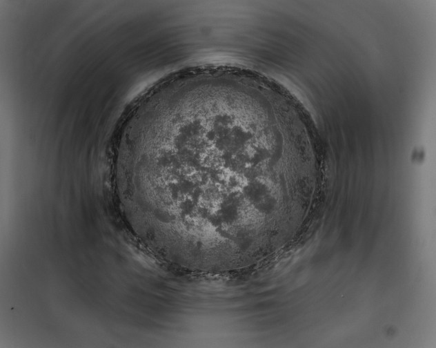 X0000101150823200807071147