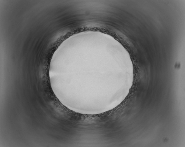 X0000101150824200807071147